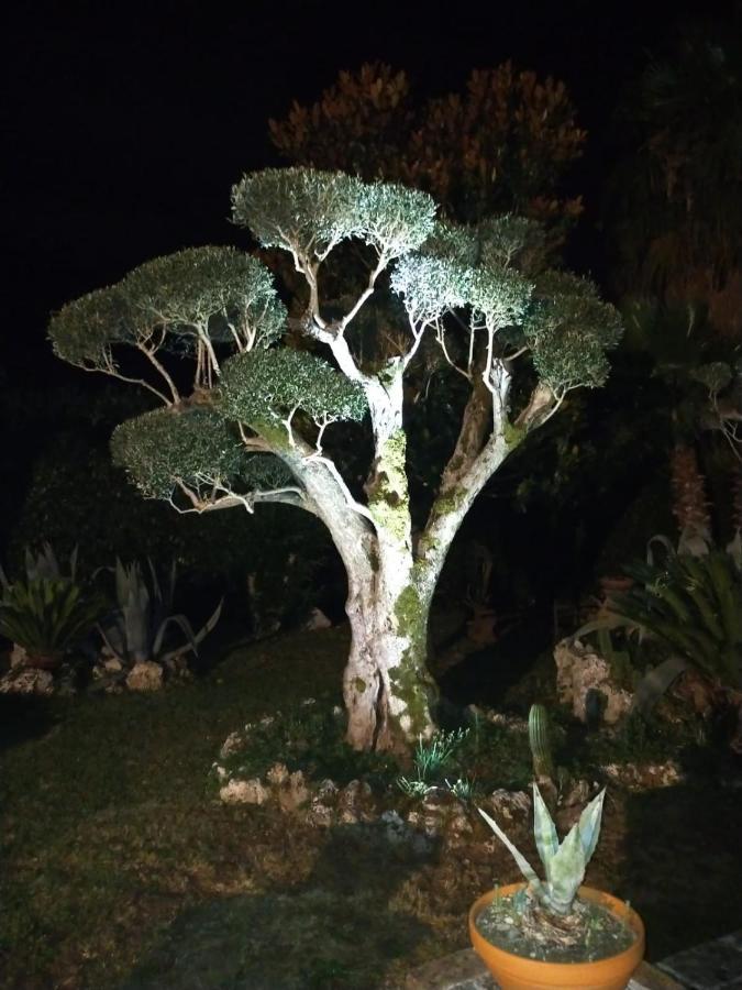 Il Giardino Di Eolo